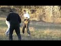 Street fight hooligans Wild Legion(Rostov) vs. Front Generala Ermolova(Stavropol)