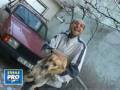 videos de Ce Face Maneaua Din OM :)))))))))   =)))))))))))