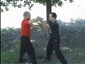 Koviljac wing chun - drills&chisao 2008 #5