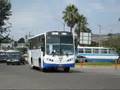 buses in Tijuana, MX