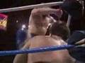 Royal rumble89-Hart foundation vs Rougeau brother2/2