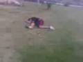 pata en el ollo