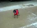 videos de Fred and Kona in the snow