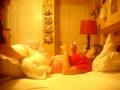 videos de HELLO ! video