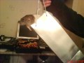 kelly le roc social circles Sticky **bangin**