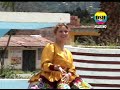 NO ESCUPAS AL CIELO: JILGUERO DEL HUASCARÁN