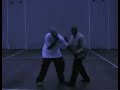 Hsing Yi Chuan combat applications