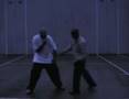 Hsing Yi Chuan combat applications