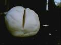 Stop Motion 2