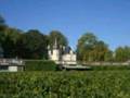 Marathon du Médoc 2007