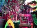 Volksbal in 't Ey met Guido Piccard en Philippe Masure