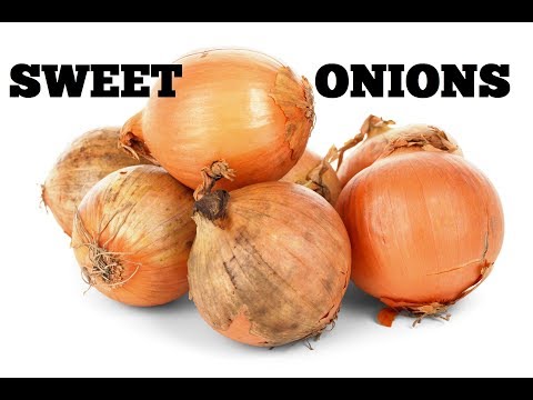 how to fertilize onion sets