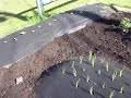 2008 How does your garden grow 2