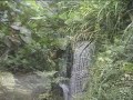 Masoala kely (Klein-Masoala) nannten madagassische Gäste eine im Sommer 2003 im Zoo Zürich eröffnete Regenwald-Halle. Das europaweit in dieser Größe einmalige Regenwaldhaus bildet ein Stück des Masoala-Regenwaldes in der Schweiz ab.Mit einem Teil der Einnahmen unterstützt der Zoo Zürich Projekte im Masoala-Nationalpark, dem Masoala Be (Grosses Masoala). Ein Drittel des Budgets des Parks kommt mittlerweile aus der Schweiz. Daneben wird die lokale Bevölkerung unterstützt, ihre Reisanbaumethoden zu verbessern, um ihre Ernährung zu sichern und weitere Brandrodungen zu verhindern, und es werden Projekte der Infrastruktur rund um den Park gefördert. Masoala kely soll auch naturbewusste Touristen nach Madagaskar bringen. Die Einnahmen aus diesem sanften Tourismus sollen Anreiz für die lokale Bevölkerung sein, die letzten Regenwaldreservate auf der viertgrößten Insel der Welt zu erhalten.Rasches Wachstum der Pflanzen und reger Nachwuchs bei den Tieren zeugen davon, dass der künstliche Regenwald ihnen gut bekommt. Erstmals gelang außerhalb Madagaskars die Aufzucht der gefährdeten Vogelart Mähnenibis (Lophotibis cristata), erstmals in Gefangenschaft die Aufzucht von Blaukopf-Erdracken (Atelornis pittoides). Die Eingriffe der Revierpfleger in die Pflanzenwelt werden auf ein Minimum reduziert. Die Tiere müssen hingegen gefüttert werden, da die Pflanzen und Insekten der Halle kein ausreichendes Nahrungsangebot darstellen (Textpasse aus Wikipedia: Zoo Zürich - Masoala).