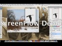 Preparing files to create a snowy scene in After Effects 7