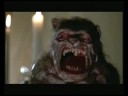 Trailer Trash - I Can't Believe It's Not Gremlins!