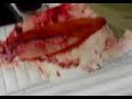 Don Wurster Seaman Seamen Part 3