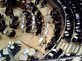 northern sinfonia warming up b4 their xmas concert. the evening was hosted by ben fogle and simon halsey conducted the orchestra.

deliberately got seats above so we could people watch the musicians. fascinating.