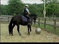 Cavalerie de Montr�al