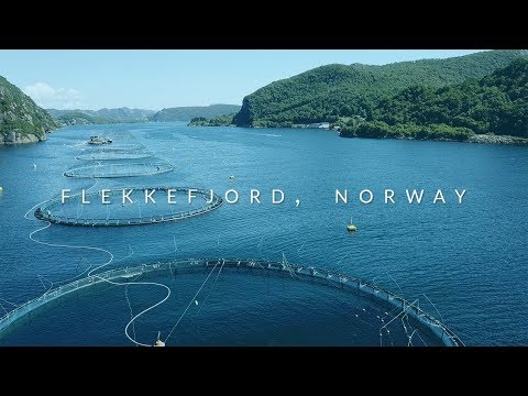 Marine Harvest, Norway - Aquaculture ROV