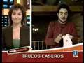 Cómo limpiar un peluche