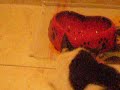 Freacky mangia vorace di fronte al Bimbone