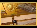 Divagazione Napoletana per pianoforte a 4 mani G.Merlocchi