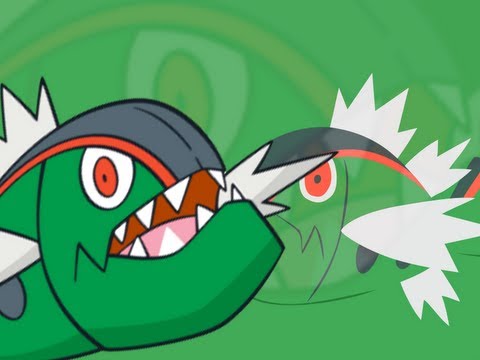 pokemon black pokemon black