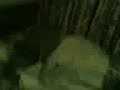 ivan sonambulo