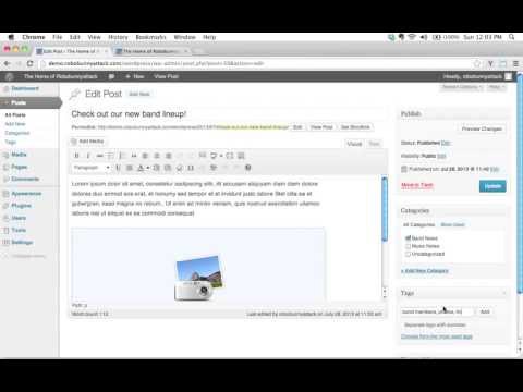 how to tag in wordpress