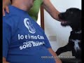 Cani da Supporto - Dogs for the disabled - Luca & Anouk - ( Centro Studi del Cane )