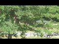 Silviu Dumitrescu - Dallara 394 - CNVC Campulung 2009
