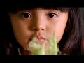 Fruits & Veggies (Video 1)