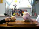 Pokemon Talk Show EP.6