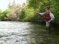 Award Winning Spirit River Studios - Deschutes Salmon Flies