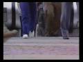videos de Vida alem da vida_Prece a Chico Xavier (Homenagem).wmv