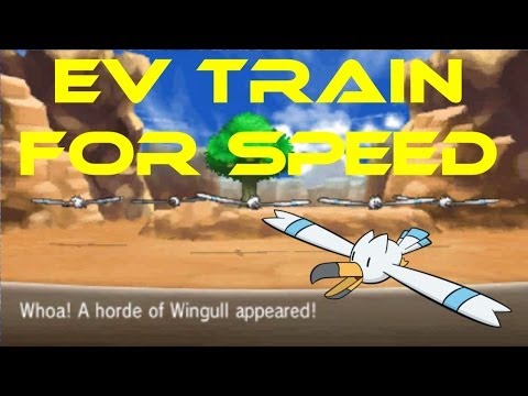 how to train speed ev pokemon x