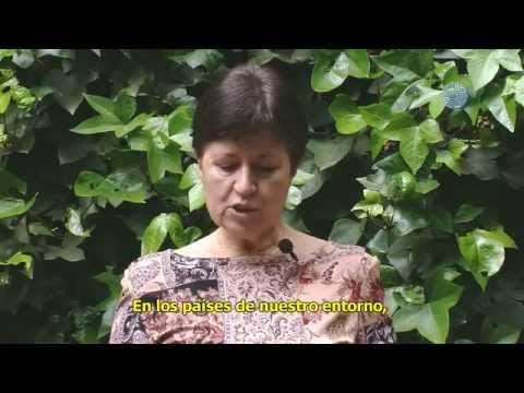 Imagen de previsualización de YouTube