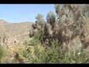Incredible Palm Springs
