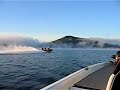 Allison Bass Boat vs Ranger Bass Boat
