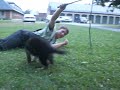 Citta learning bitework