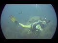scuba diving lessons!