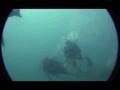 videos de scuba diving lessons!