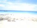 Ao Leuk Point, Koh Tao, Thailand