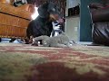 crazy weiner