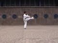 International Taekwondo Federation (ITF) Pattern 7
