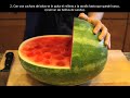 Carreola de Sandia