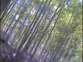 Helmet cam paintball footage from 68caliberpaintball.com