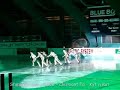 Stars sur Glace - Cotton Eye Joe