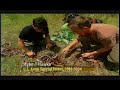 Myke Hawke on Survival